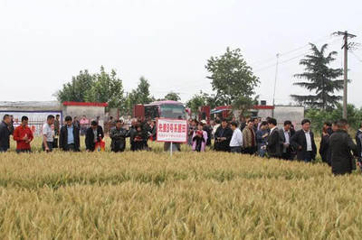 鄧州市七家企業榮膺“農業產業化省重點龍頭企業” 農作物種子經營引領產業升級